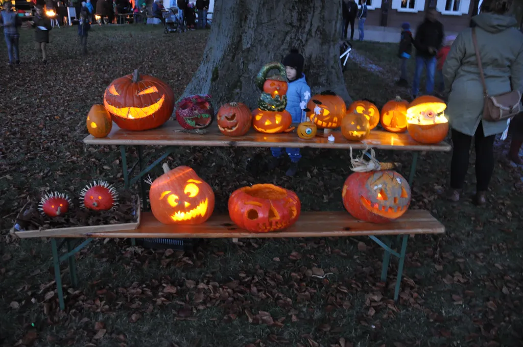 Erleuchtete Kürbisse vor dem Museum – 2019